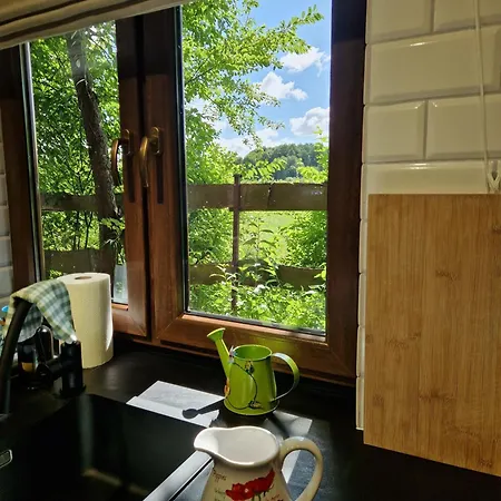 Dom W Zaciszu Drzew * Szkotowo